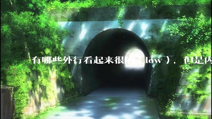 有哪些外行看起来很陋(low),但是内行人却觉得很高大上的东西?